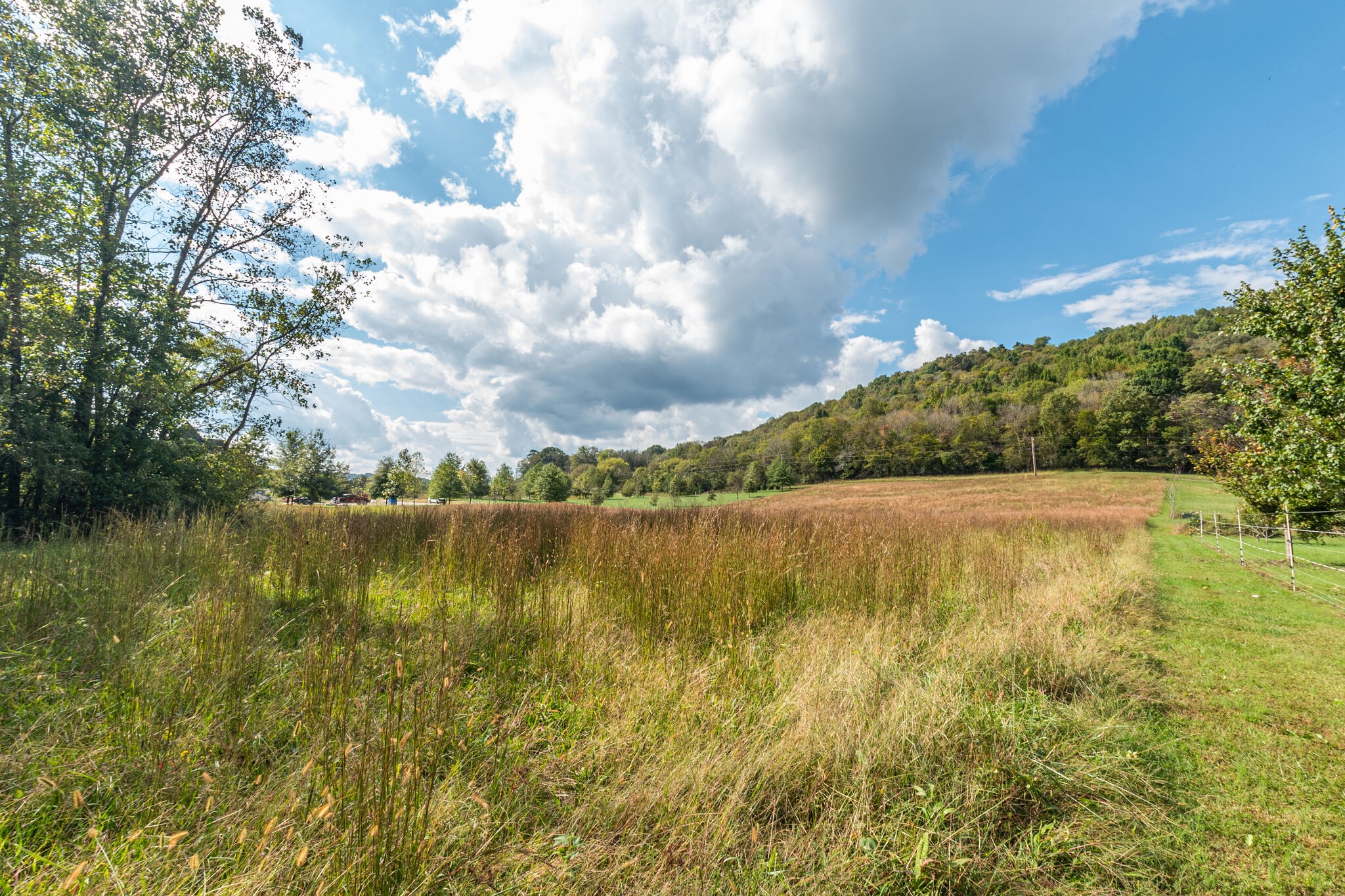 0 Judd Road Lancaster, TN 38569 - Photo 6 of 10 Gallery Image 6