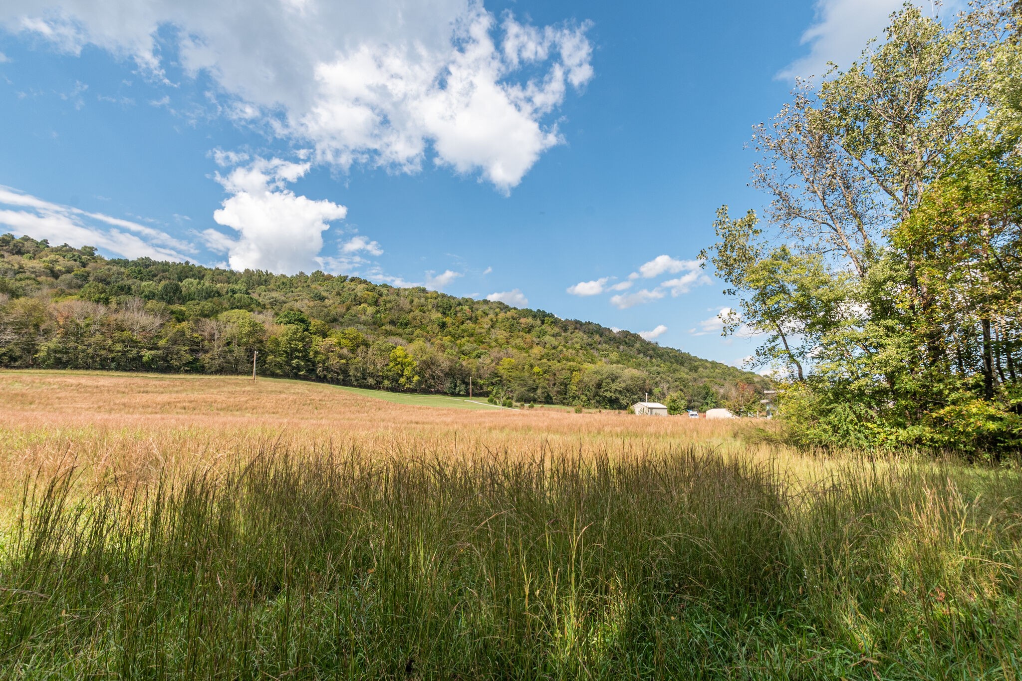 0 Judd Road Lancaster, TN 38569 - Photo 7 of 10 Gallery Image 7