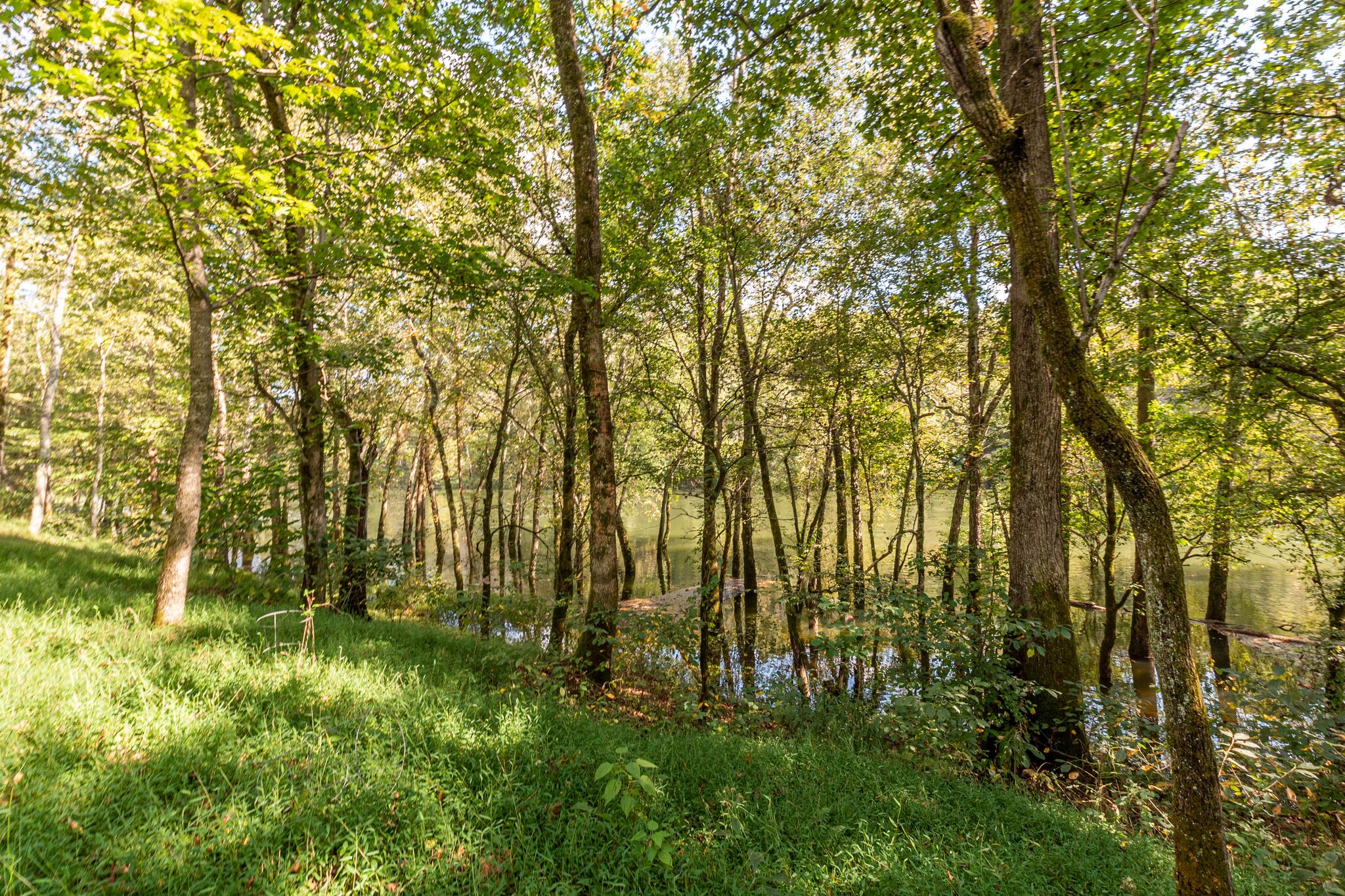 0 Judd Road Lancaster, TN 38569 - Photo 8 of 10 Gallery Image 8