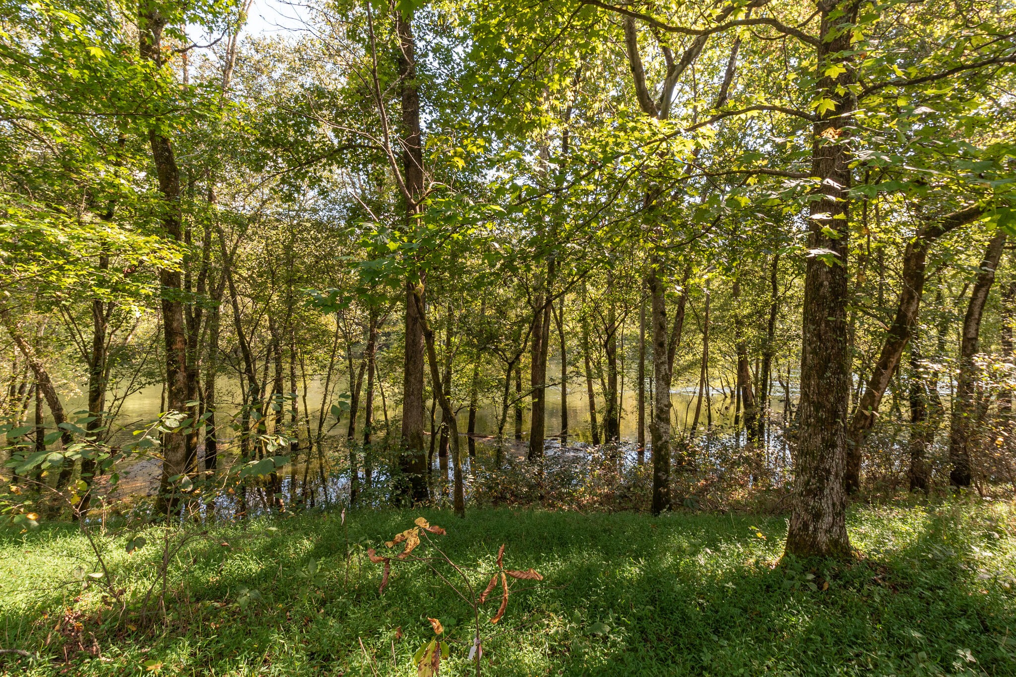 0 Judd Road Lancaster, TN 38569 - Photo 9 of 10 Gallery Image 9