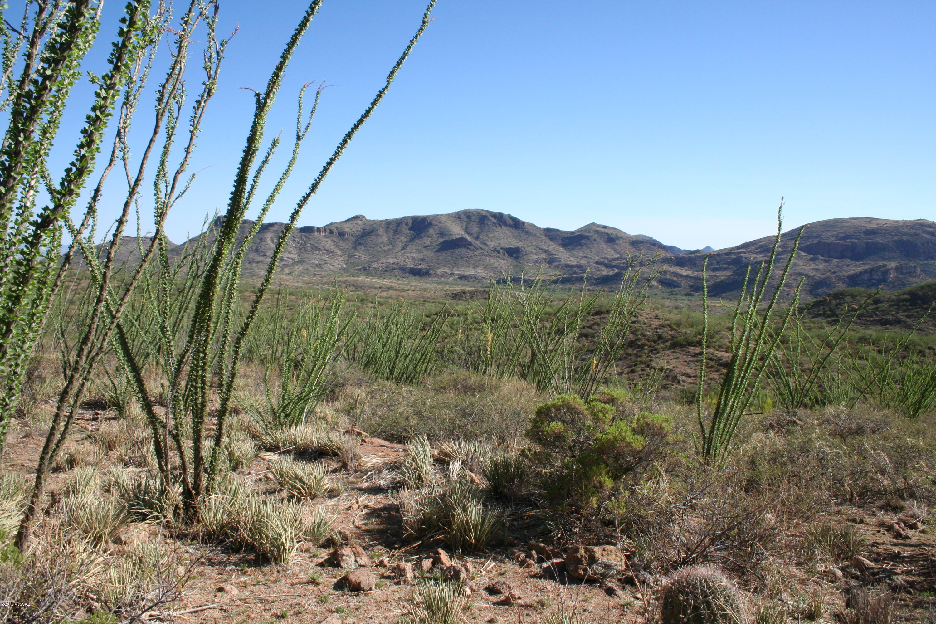 37 Copper Canyon Road, Unit 140 Rio Rico, AZ 85648 - Photo 3 of 17 IMG_9449