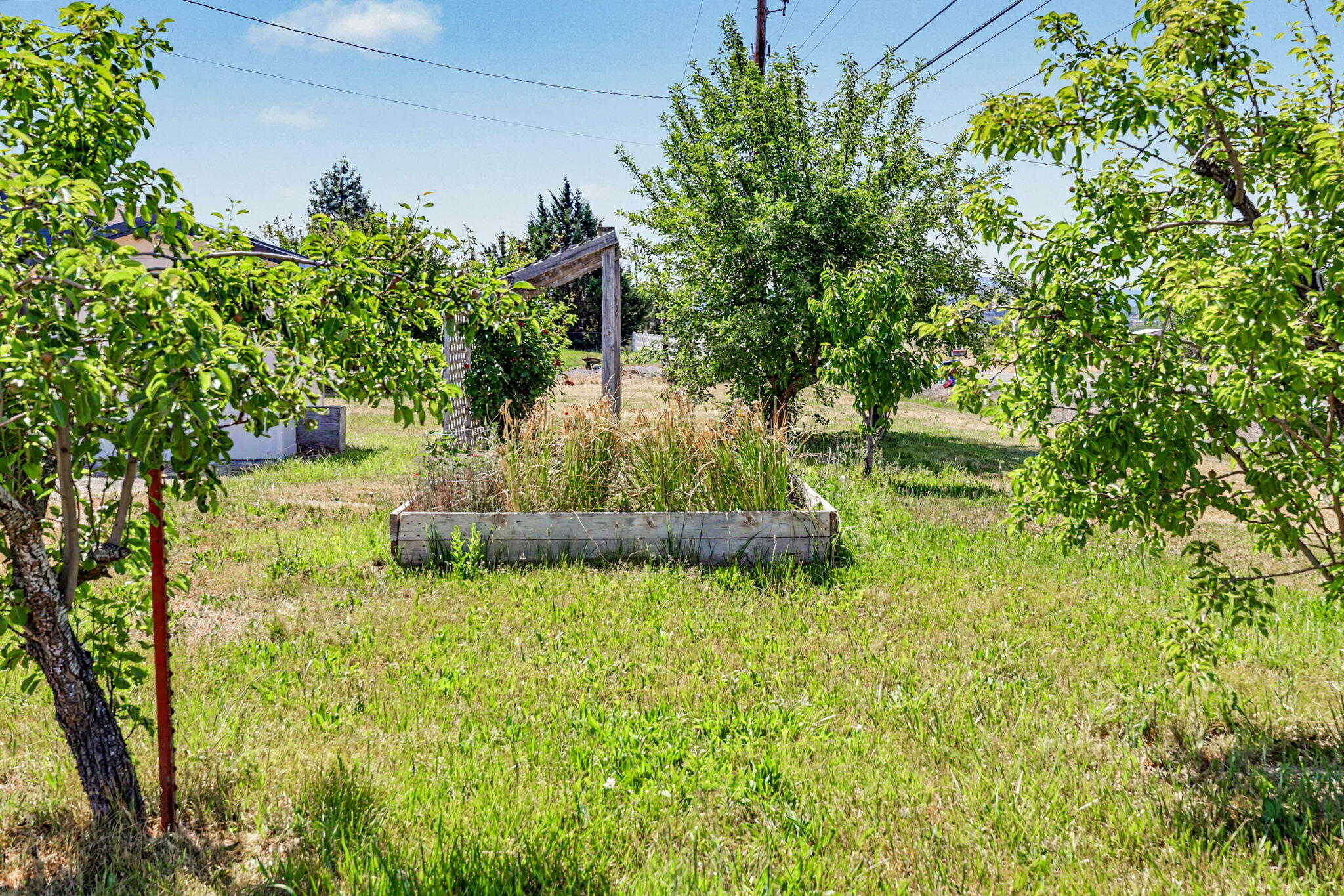 145 Highway 234 Eagle Point, OR 97524 - Photo 41 of 43 a view of a garden with a fountain