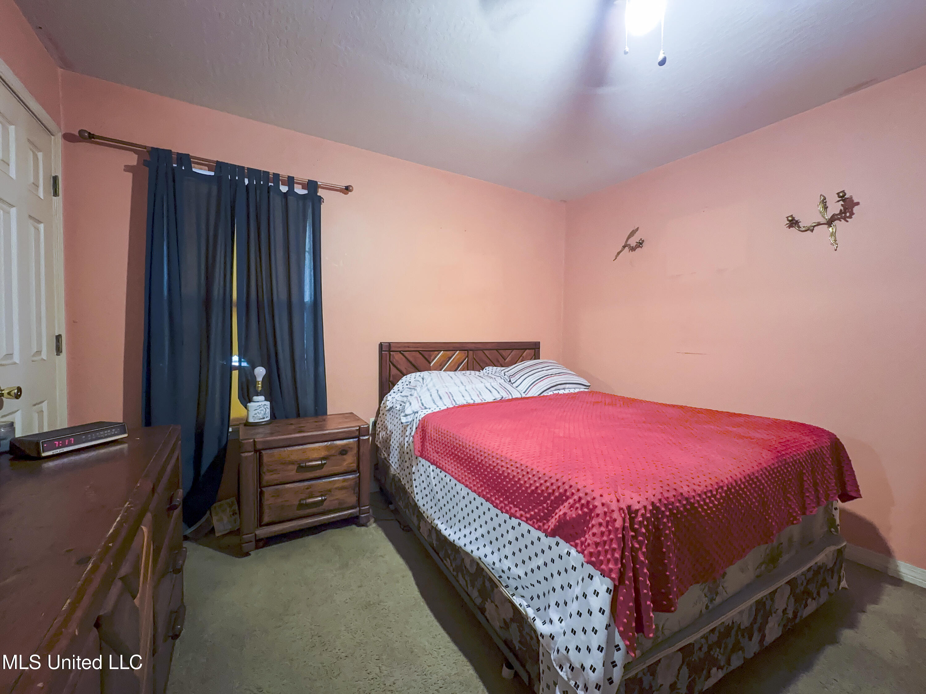 209 11th Street Mount Olive, MS 39119 - Photo 6 of 12 IMG_4110-HDR