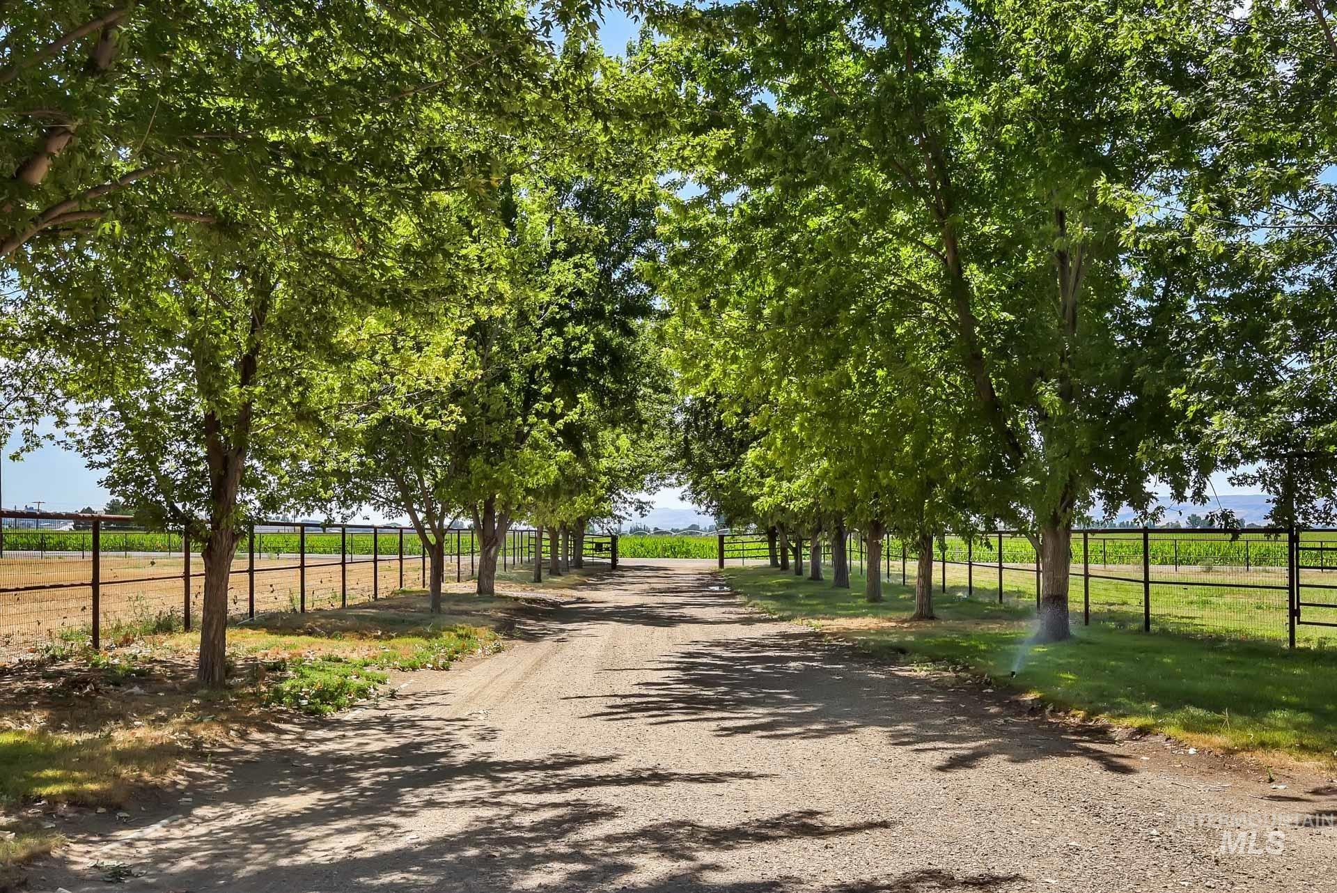 27114 Lower Pleasant Ridge Road Wilder, ID 83676 - Photo 25 of 48 View of dirt / gravel road with a rural view