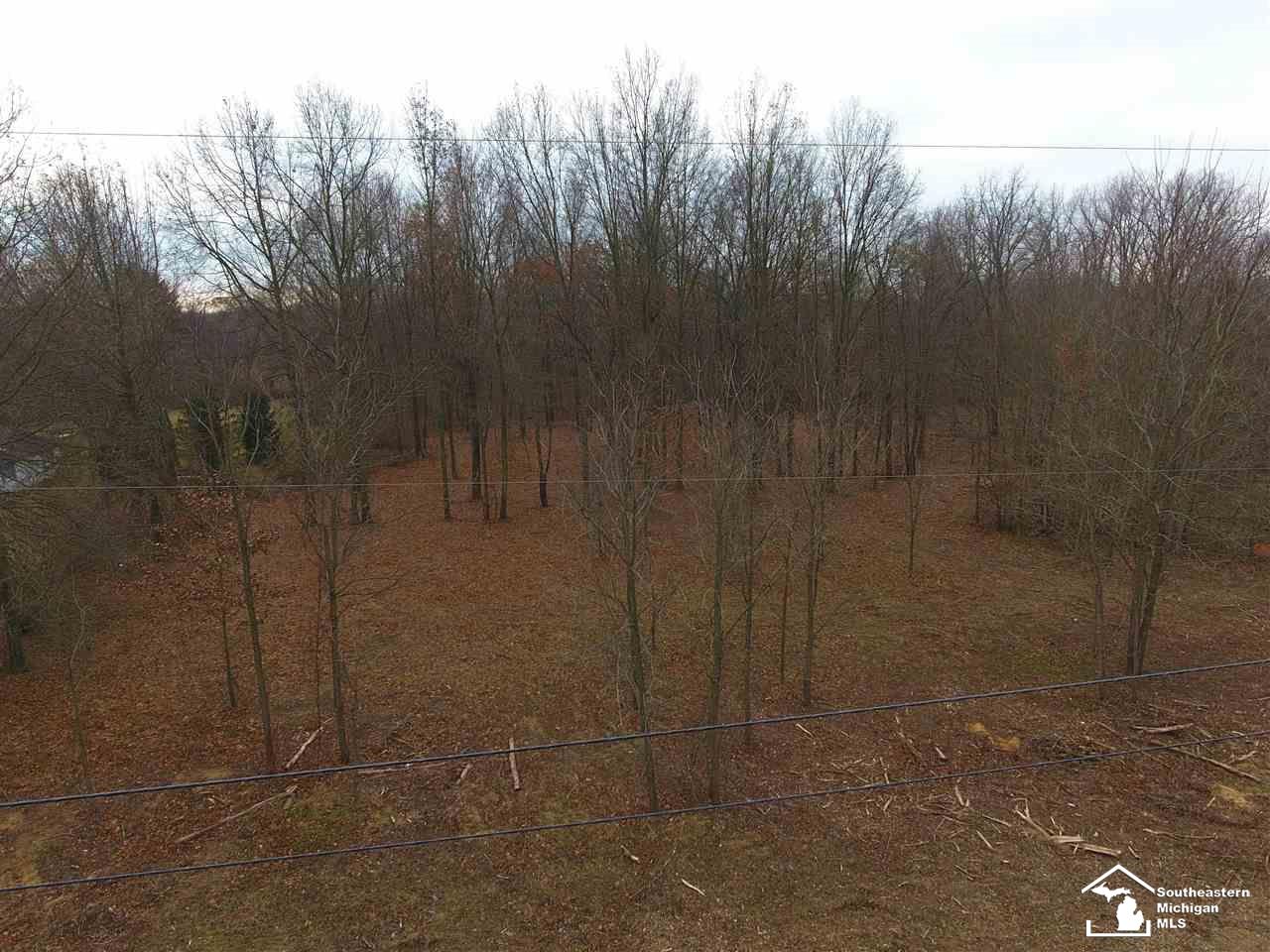 3027 Rauch Road Temperance, MI 48182 - Photo 2 of 5