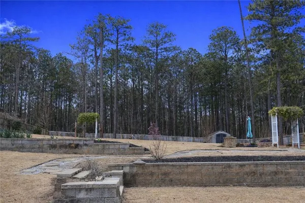 a view of a park with large trees