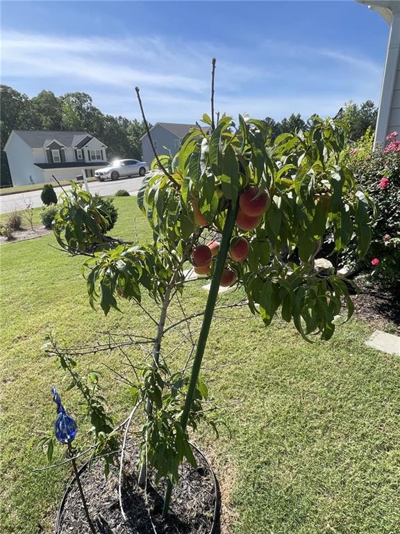 325 Tarpley Way Covington, GA 30016 - Photo 59 of 62 a view of a garden