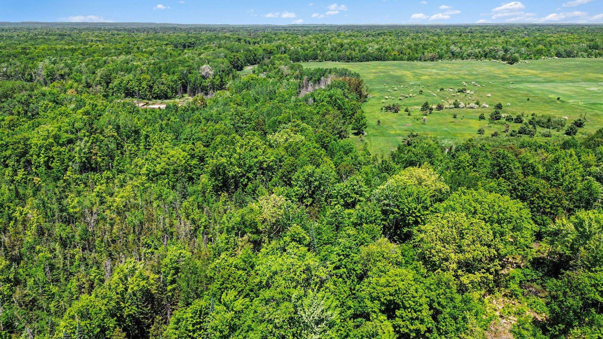 0 Ora Lake Road Hale, MI 48739 - Photo 6 of 22