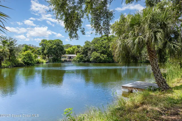 a body of water with a tree in the background