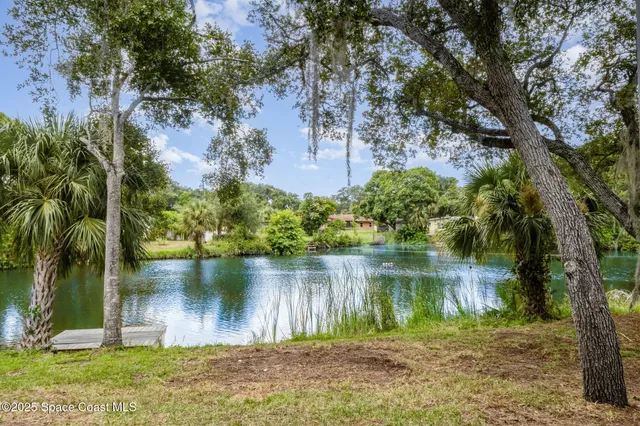 a lake view with a large trees