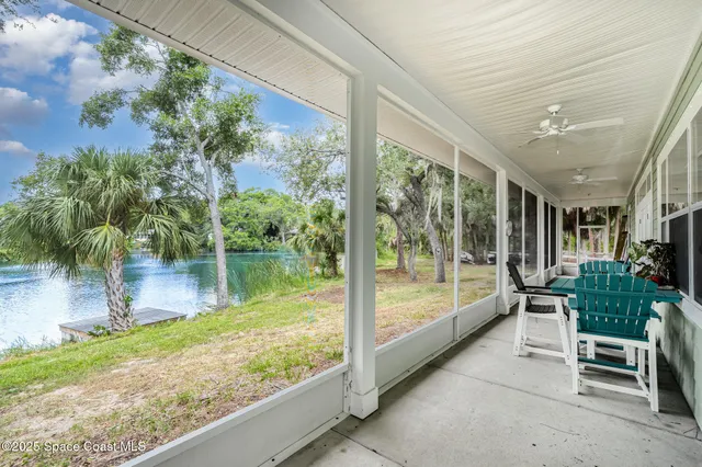 a view of backyard with large trees and plants