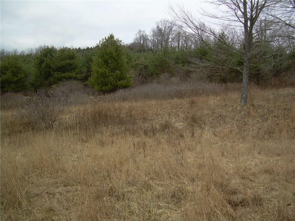 1167 Rayne Church Road Indiana, PA 15701 - Photo 13 of 20 Yard