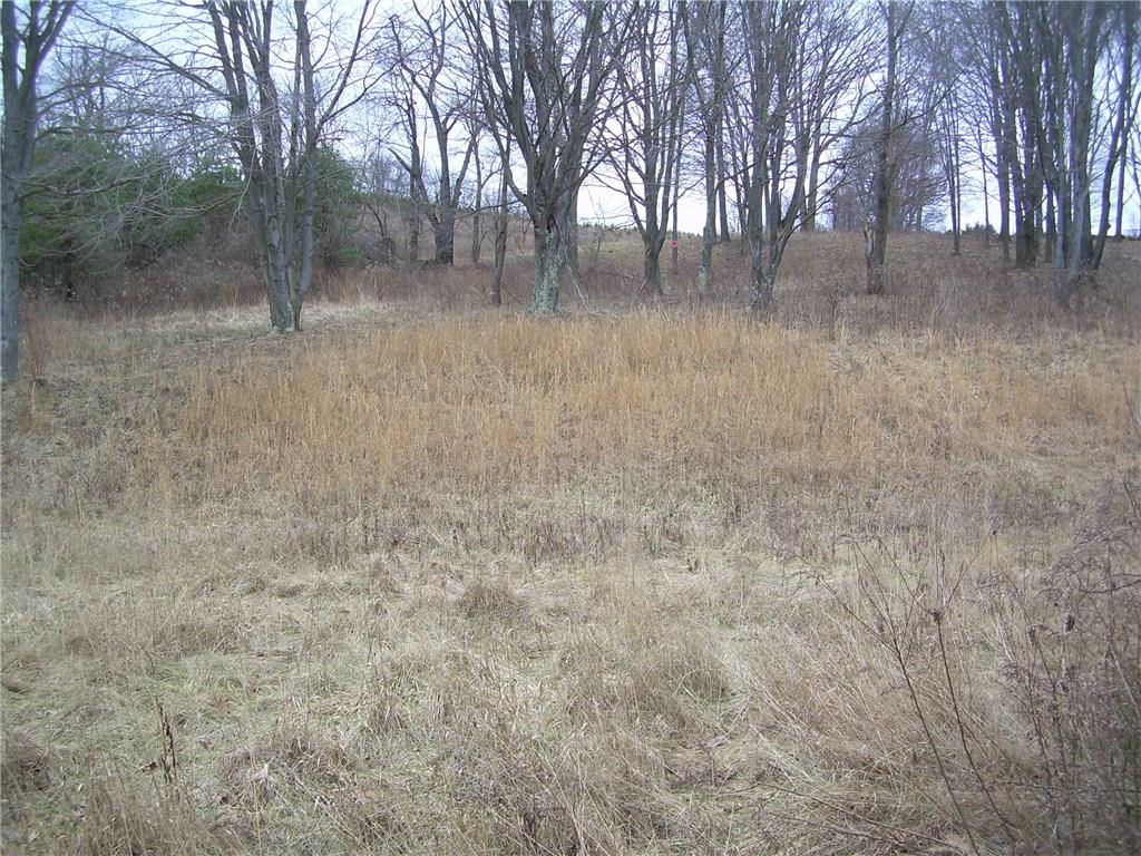 1167 Rayne Church Road Indiana, PA 15701 - Photo 14 of 20 Yard
