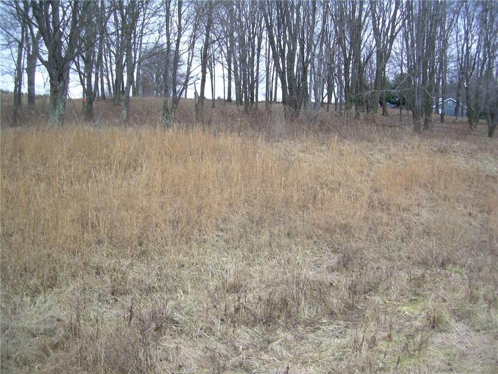 1167 Rayne Church Road Indiana, PA 15701 - Photo 15 of 20 Yard