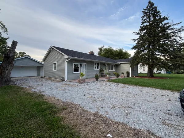 a view of a yard with potted plants and large trees