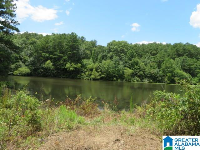 20025 Booler Road Vance, AL 35490 - Photo 41 of 48