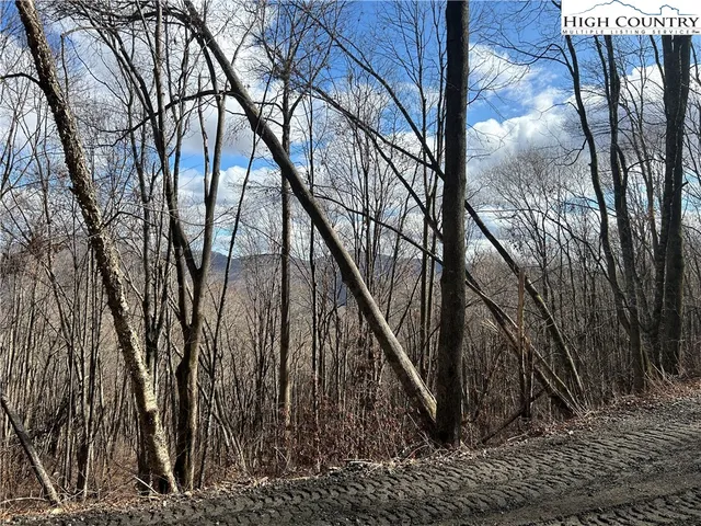 $109,999 | Lot 7 Woodfern Way, Todd, NC 28684