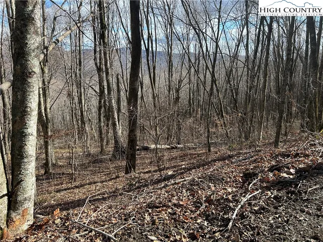 $109,999 | Lot 7 Woodfern Way, Todd, NC 28684