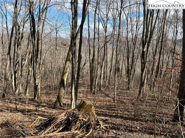 $109,999 | Lot 7 Woodfern Way, Todd, NC 28684