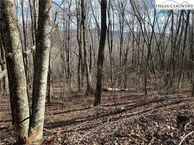 $109,999 | Lot 7 Woodfern Way, Todd, NC 28684