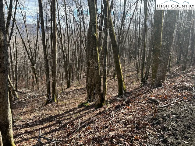 $109,999 | Lot 7 Woodfern Way, Todd, NC 28684