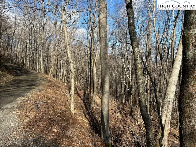 $109,999 | Lot 7 Woodfern Way, Todd, NC 28684