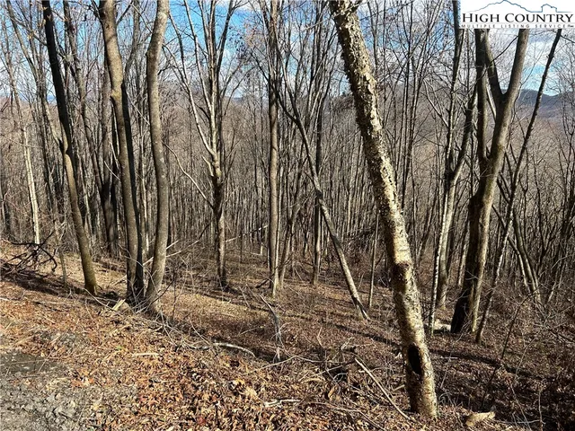 $109,999 | Lot 7 Woodfern Way, Todd, NC 28684