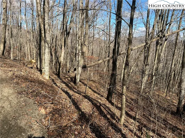 $109,999 | Lot 7 Woodfern Way, Todd, NC 28684