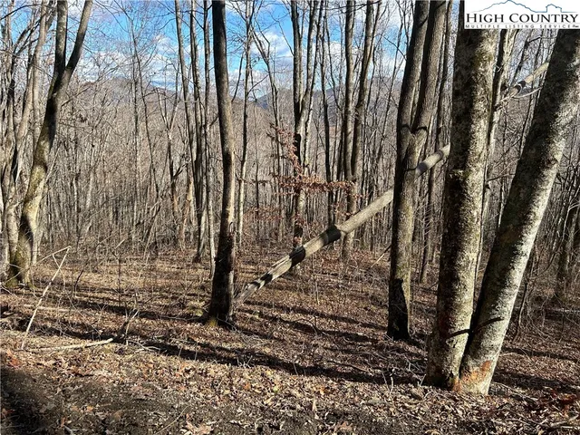 $109,999 | Lot 7 Woodfern Way, Todd, NC 28684