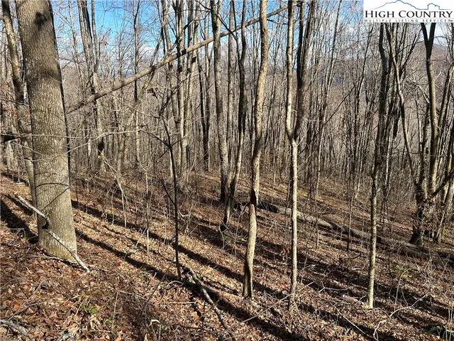 $109,999 | Lot 7 Woodfern Way, Todd, NC 28684