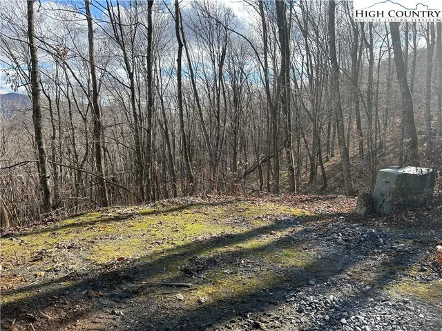 $109,999 | Lot 7 Woodfern Way, Todd, NC 28684