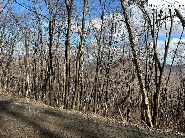 $109,999 | Lot 7 Woodfern Way, Todd, NC 28684