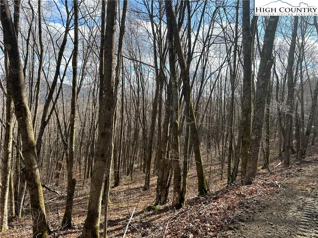 $109,999 | Lot 7 Woodfern Way, Todd, NC 28684