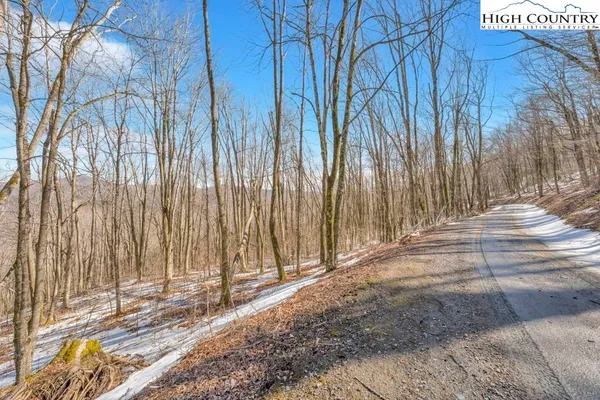 a view of a backyard of the house