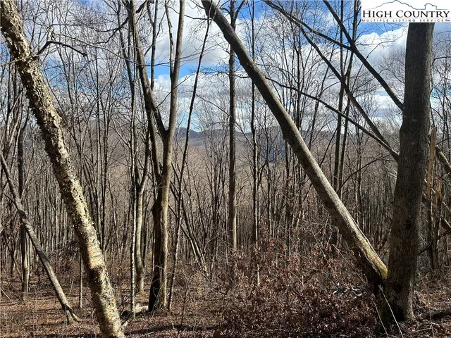 $109,999 | Lot 7 Woodfern Way, Todd, NC 28684