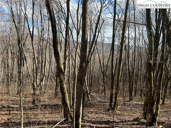 $109,999 | Lot 7 Woodfern Way, Todd, NC 28684