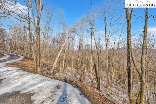 a view of backyard with wooden fence