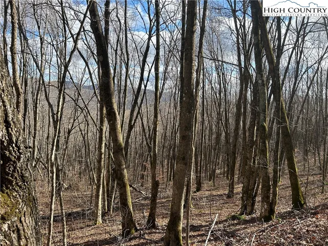 $109,999 | Lot 7 Woodfern Way, Todd, NC 28684