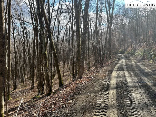 $109,999 | Lot 7 Woodfern Way, Todd, NC 28684