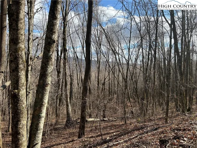 $109,999 | Lot 7 Woodfern Way, Todd, NC 28684