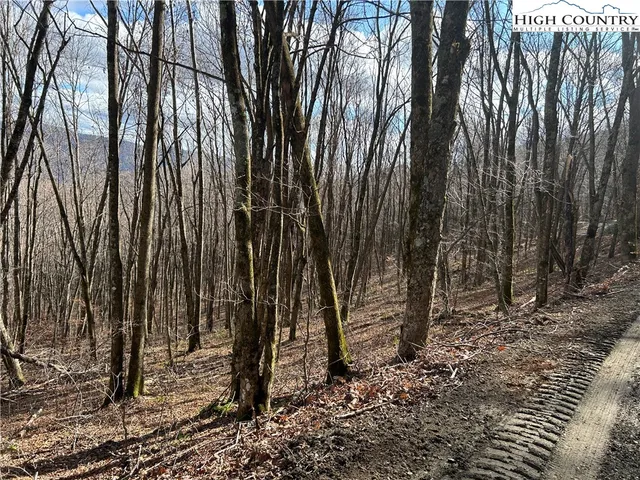 $109,999 | Lot 7 Woodfern Way, Todd, NC 28684