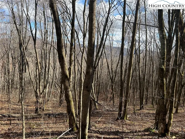 $109,999 | Lot 7 Woodfern Way, Todd, NC 28684