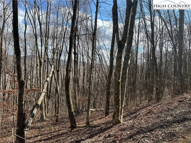 $109,999 | Lot 7 Woodfern Way, Todd, NC 28684