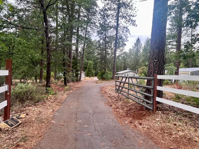 a view of backyard of the house