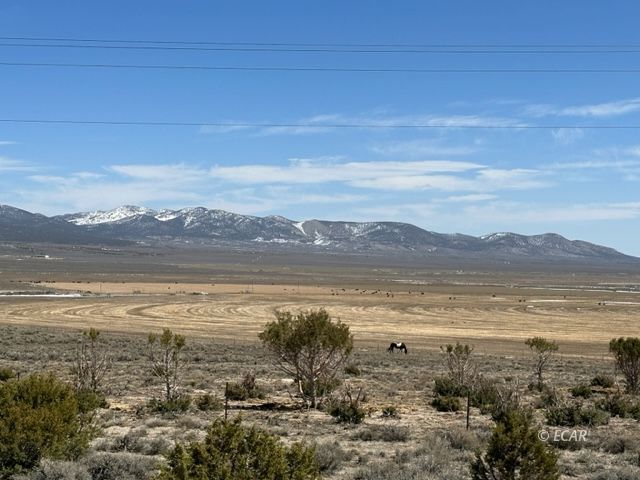 709 Clover Vly Road Wells, NV 89835 - Photo 3 of 8