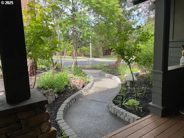 a view of a backyard with potted plants