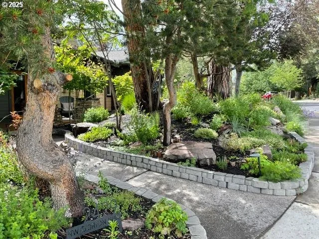 a view of a garden with plants