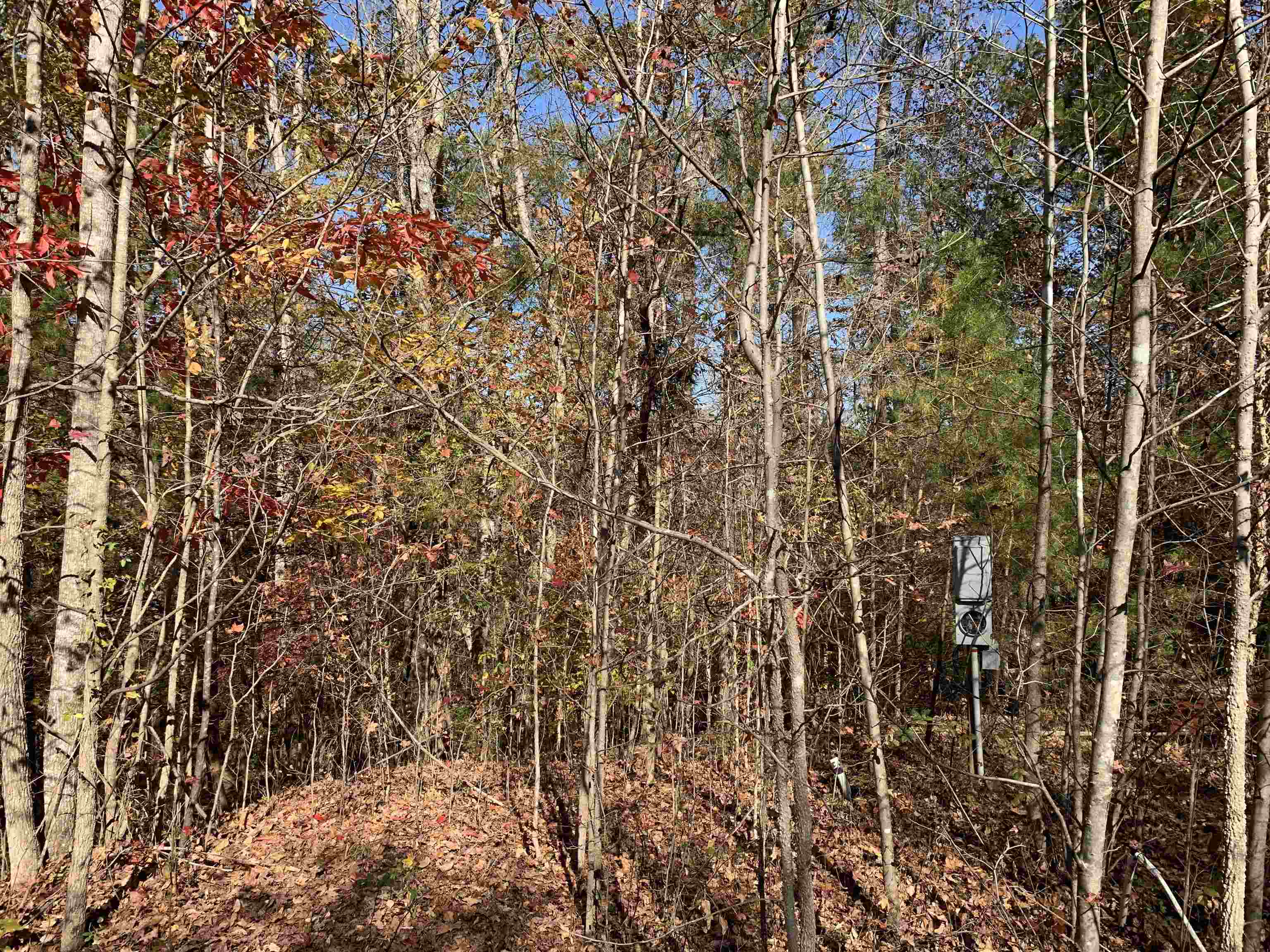 1000 Dickson Road Campobello, SC 29322 - Photo 8 of 11