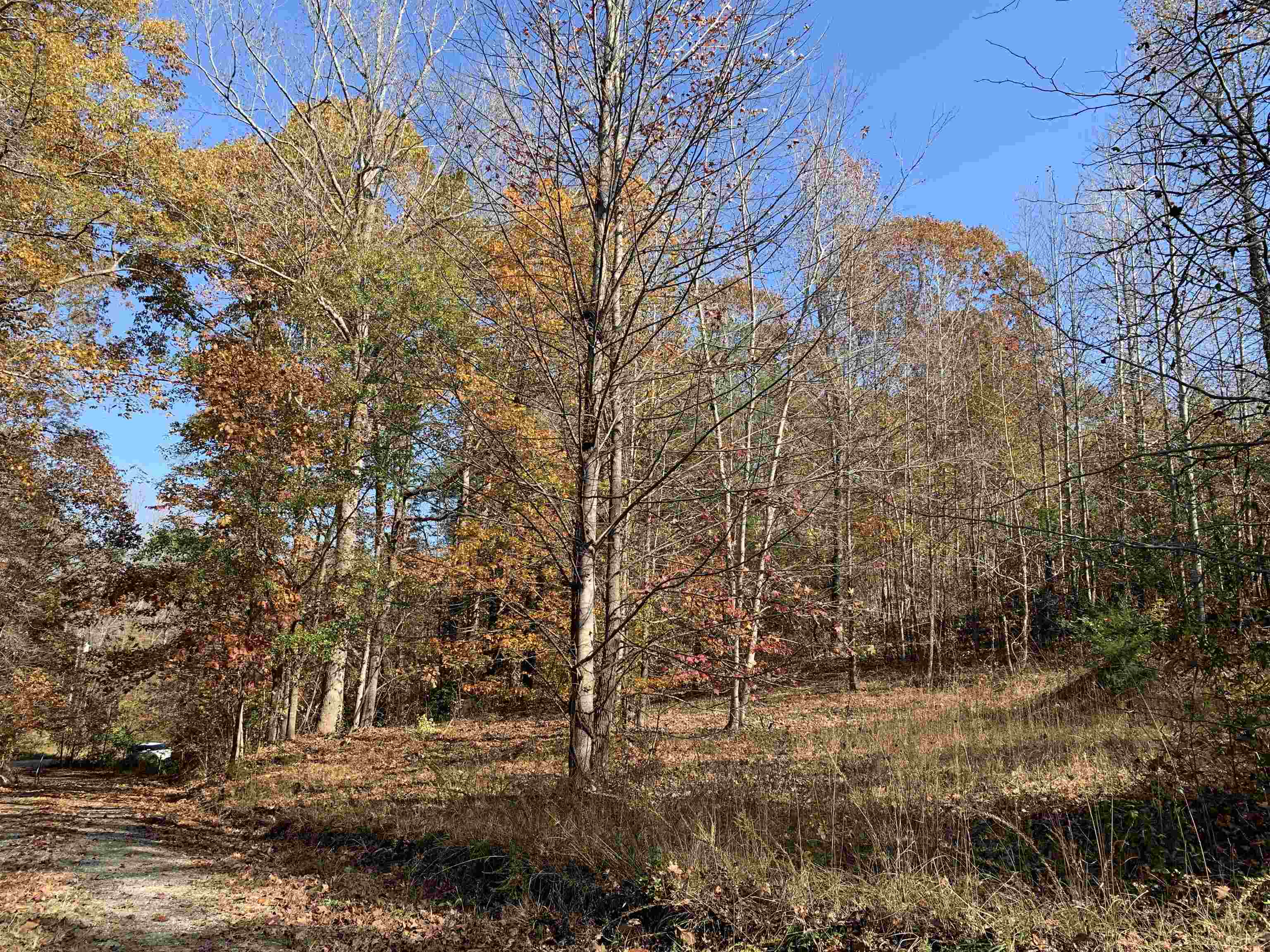 1000 Dickson Road Campobello, SC 29322 - Photo 10 of 11
