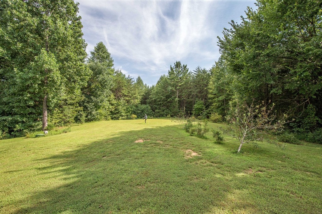 239 Meador Road Cumberland, VA 23040 - Photo 19 of 49 Gallery Image 19